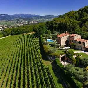 Vitis , Negrar Italië